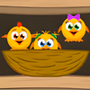 Rescue a Chicken