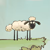 Home Sheep Home