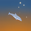 Dolphin Championship